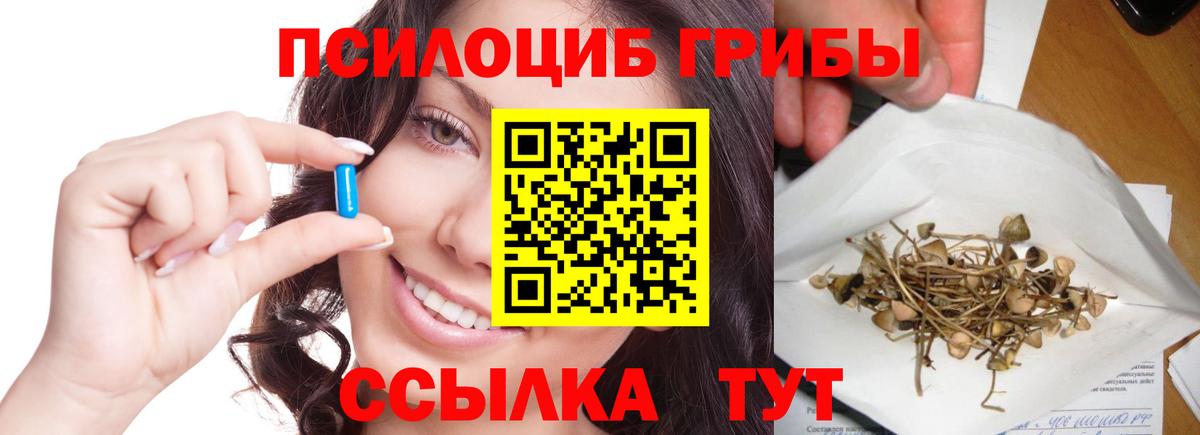 Псилоцибиновые грибы Psilocybe  Вход с VPN  Пыть-Ях 